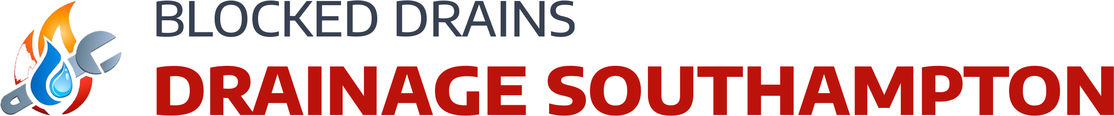 website logo